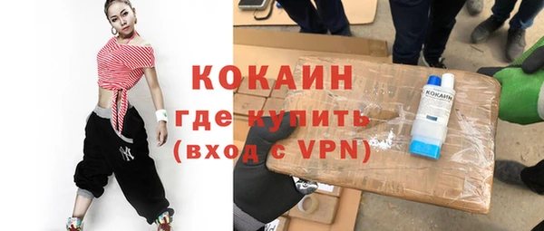 шишки Алексин