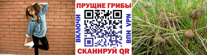 Псилоцибиновые грибы мицелий  Миасс 