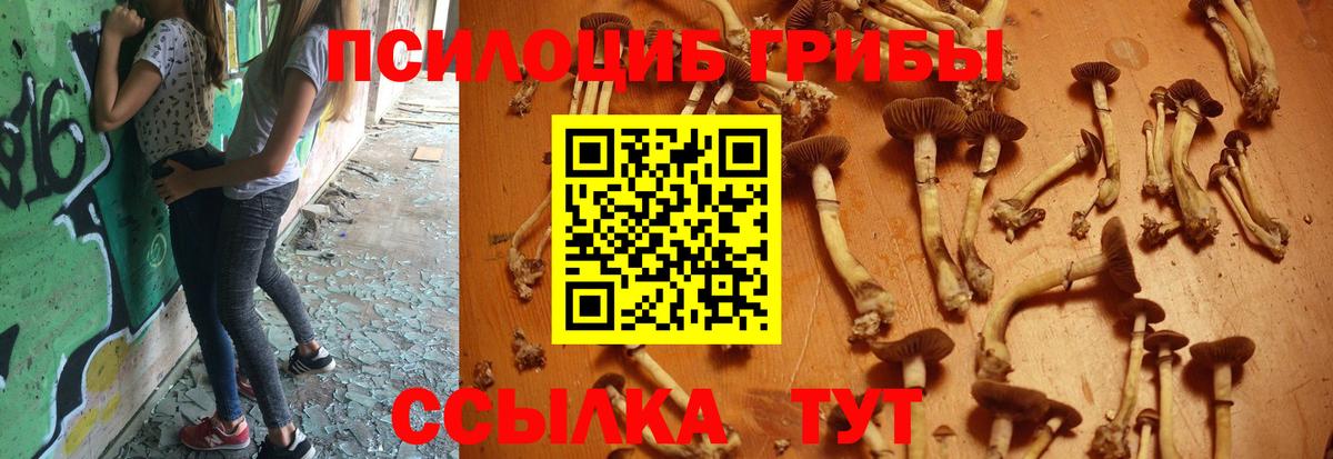 Галлюциногенные грибы Magic Shrooms Миасс