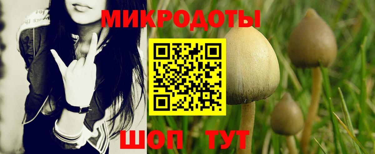 Псилоцибиновые грибы прущие грибы  Вход с VPN  Миасс 