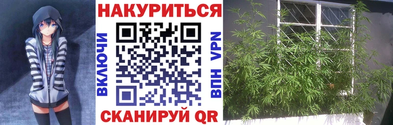 дарк нет телеграм МЕГА зеркало Миасс Шишки марихуана планчик