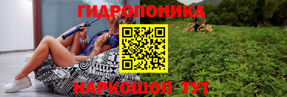 МАРИХУАНА Amnesia  Бошки марихуана марихуана  Миасс  Вход с VPN  Бошки Шишки LSD WEED  Марихуана Amnesia 